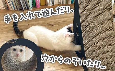 【全5色から選べる!】猫の爪とぎ タワー 桂川町/株式会社 大村紙工[ADBC001]