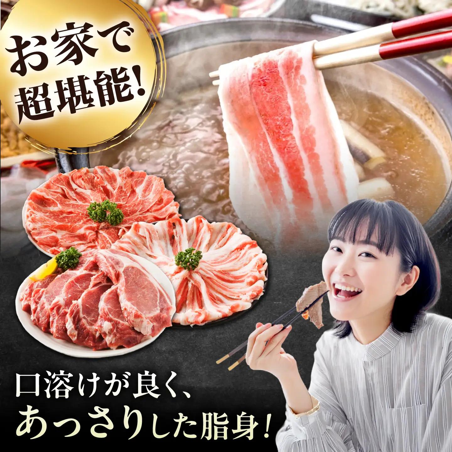 豚肉たっぷりセット約2.9kg [BAER024] 豚肉