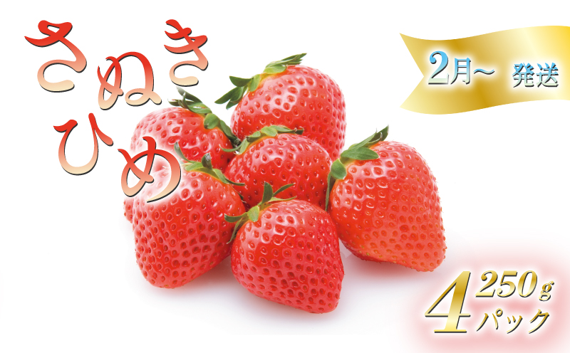 【2月中旬から順次発送】いちごのお姫様 さぬきひめ 約250g×4パック 苺 いちご 果物 フルーツ 果物 ブランド さぬき姫 ジューシー 果汁 甘い 季節 デザート スイーツ ふるさと納税いちご ふるさと納税フルーツ 国産 香川県 丸亀市