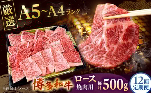 【全12回定期便】【数量限定 博多和牛】ロース 焼肉用 500g ▼ 牛肉 博多 和牛 極上 バーベキュー ブランド 国産 高級 高評価 特別 上質 桂川町/株式会社チクゼンヤ[ADBZ048]