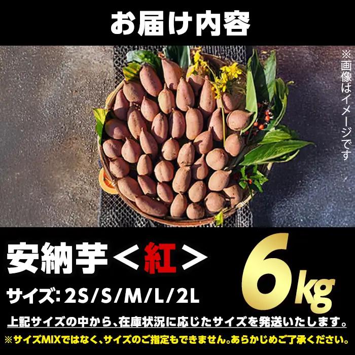 安納芋 さつまいも 紅 6kg 種子島産 【うずえ屋】n480