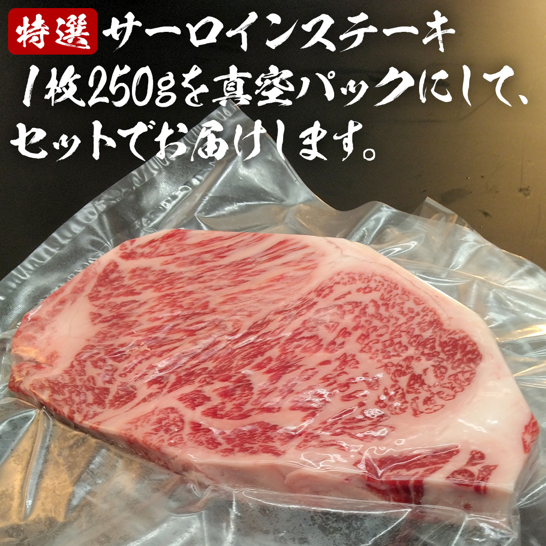 【 常陸牛 】 A5 等級 サーロインステーキ 500g (250g×2枚) あらぎり わさび 付 （茨城県 共通返礼品：守谷市） ひたちぎゅう ブランド牛 ステーキ サーロイン 国産牛 黒毛和牛 和