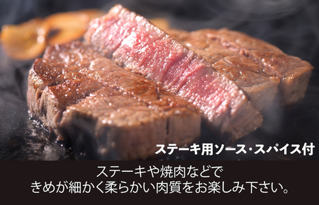 【定期便 全３回】黒毛和牛 A5ランク ヒレステーキ 150gx4枚 計600g (ステーキ用ソース・スパイス付) ３ヶ月連続
