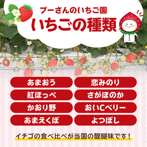 プーさんのいちご園　割引券（10,000円分） 【レターパック】イチゴ狩り あまおう 恋みのり 紅ほっぺ さがほのか かおり野 おいCベリー あまえくぼ よつぼし 高設栽培 多段式 バリアフリー 車椅