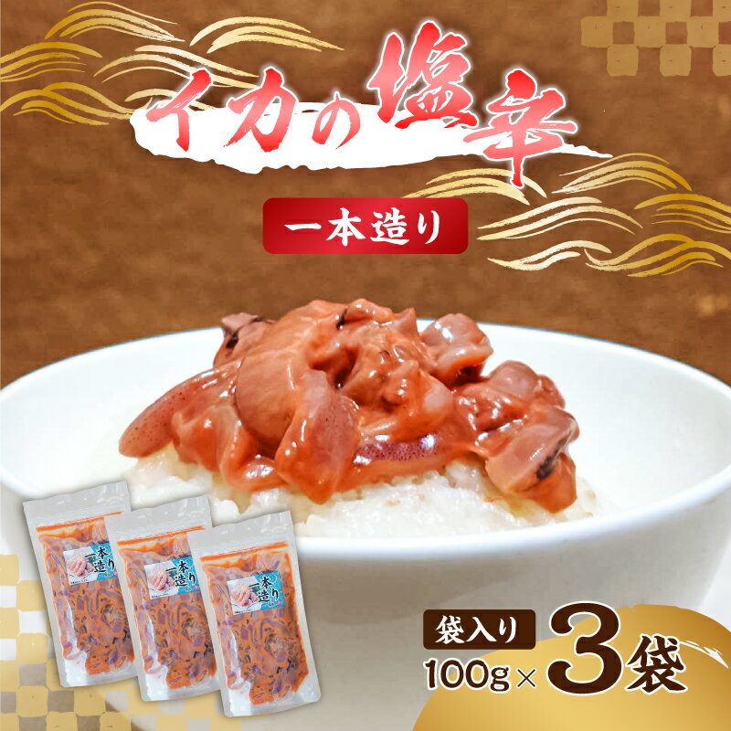 【ふるさと納税】 イカの塩辛一本造り 袋入り 100g×3 千葉県 南房総市 おかず お酒のお供 相性抜群 肉厚 するめいか まろやか 味わい 珍味 パスタ ビタミン ミネラル 栄養 アレンジ 送料無料