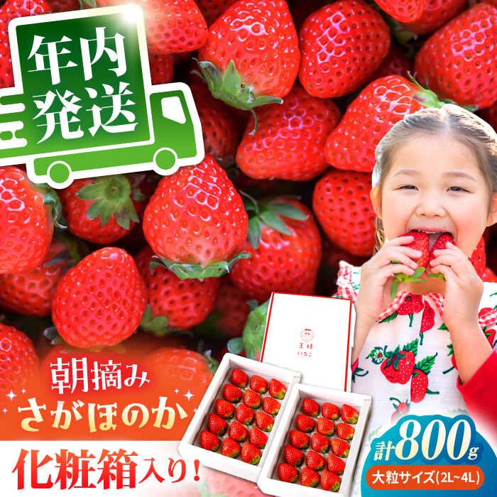 【ふるさと納税】【11月下旬〜12月発送】王様のいちご さがほのか 800g ( 400g 2箱 ) 【むらおか農園】 [HAF002] / いちご 苺 イチゴ さがほのか ブランド 果物 フルーツ 佐賀 佐賀県 九州 年内発送 送料無料 17000 17000円