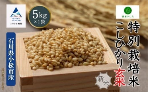 コシヒカリ 玄米 5kg 特別栽培米 令和7年産 新米 こしひかり コメ お米 ｜ 石川県 小松市 【農家ふじた】