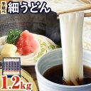 【ふるさと納税】うどん 手延べ 細うどん 200g×6袋 1.2kg かも川手延素麺株式会社《30日以内に発送予定(土日祝除く)》岡山県 浅口市 紙箱入 お土産 送料無料 麺 小麦 粉もの 細うどん 丸麺