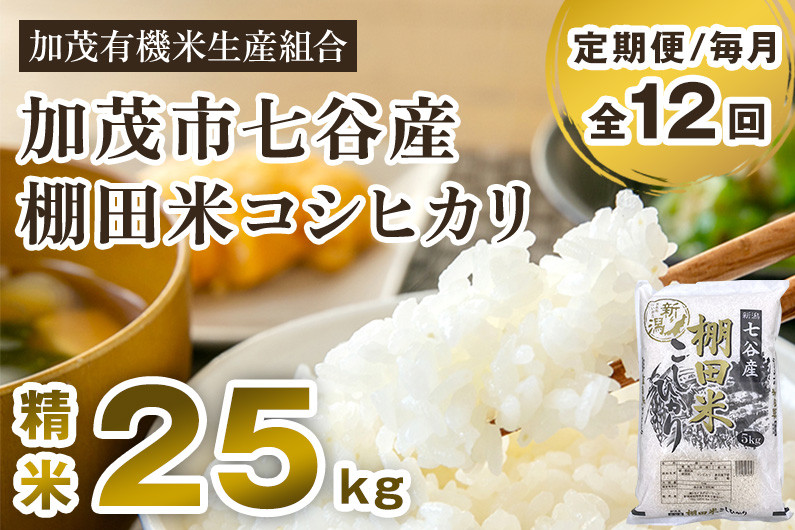 
            【令和7年産新米先行予約】【定期便12ヶ月毎月お届け】七谷産 棚田 米コシヒカリ 精米 25kg（5kg×5）《10月中旬から順次出荷》 白米 加茂有機米生産組合 新潟県 加茂市産 白米 米 お米 定期便
          