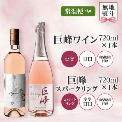 ふるさと納税 笛吹市 【熨斗】巨峰ワイン・巨峰スパークリング 720ml 2本セット モンデ酒造 山梨県 笛吹市 |  | 03