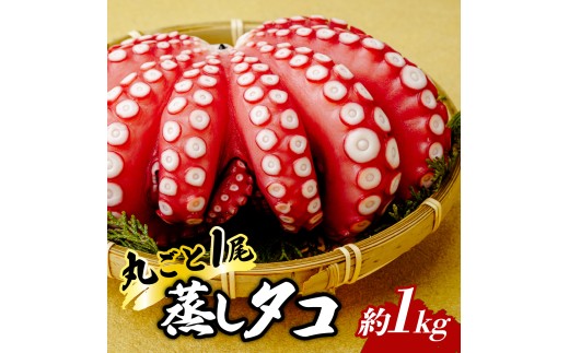 浜清水産の蒸し蛸 まるごと1匹(約1kg) | 蒸し蛸 ボイルタコ タコ 1kg  海鮮 お取り寄せ 刺身用  カルパッチョ 大容量  新鮮  冷凍  下処理済み  お歳暮  贈答用 ひたちなか市 浜清水産