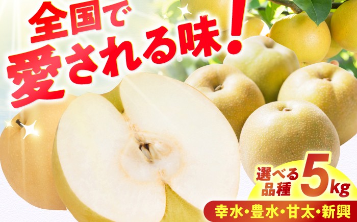
                  【★先行予約★ 2026年7月下旬以降発送】【選べる4品種】梨 幸水 / 新興 / 甘太/ 豊水 約5kg ナシ 梨 果物 くだもの フルーツ デザート 新鮮 果肉 果汁 fruit nasi ふるうつ ふるーつ 梨 ナシ 梨 なし 梨 なし フルーツ 旬 梨 ナシ 甘い みずみずしい 広川町 / JAふくおか八女農産物直売所どろや [AFAB060]
                