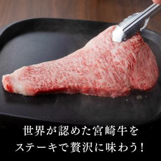 ５等級！ 宮崎牛 サーロインステーキ 400g 【 4大会連続日本一 ミヤチク 牛 肉 牛肉 国産 九州産 宮崎県産 黒毛和牛 和牛 サーロイン ステーキ 】