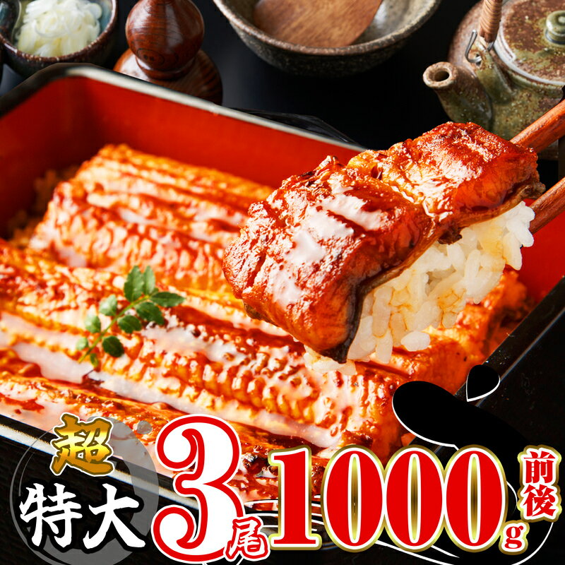 【ふるさと納税】3尾 1000g前後 うなぎ ふっくらジューシー 有頭うなぎ蒲焼 真空 特大 鰻 1尾ずつ 小分け SF012-0【 福岡県 須恵町 】