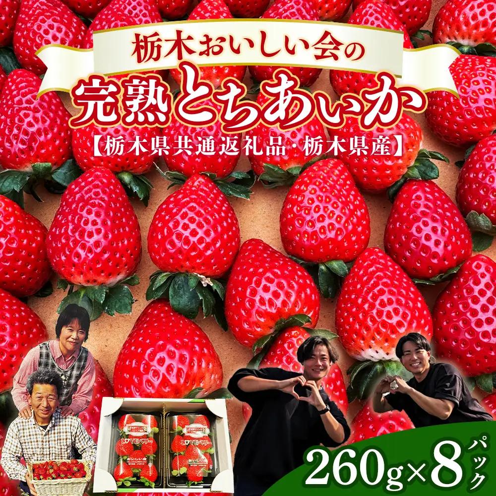 栃木おいしい会のいちご（とちあいか）260g×8パック（2080g）｜栃木県共通返礼品 栃木県産 ※2027年1月～発送