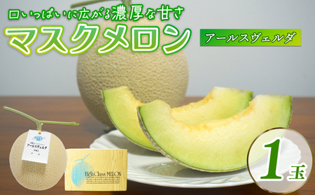 【2026年9月中旬発送開始】 マスクメロン 1玉 メロン フルーツ ギフト 果物 夏 季節限定 甘い おいしい 贈り物 お取り寄せ 産地直送 新鮮 熟成 国産 スイーツ デザート ジューシー 贈答用 プレゼント 人気 お中元 数量限定 先行予約 新発田ファーム 新潟県 新発田市 shibatafarm005