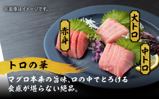 【全12回定期便】べっぴんあなご・トロの華の詰め合わせ《対馬市》【桐谷商店】対馬 新鮮 マグロ 鮪 赤身 中トロ 大トロ アナゴ 穴子 魚介 刺身 鮮度抜群 ご褒美 [WAQ011]