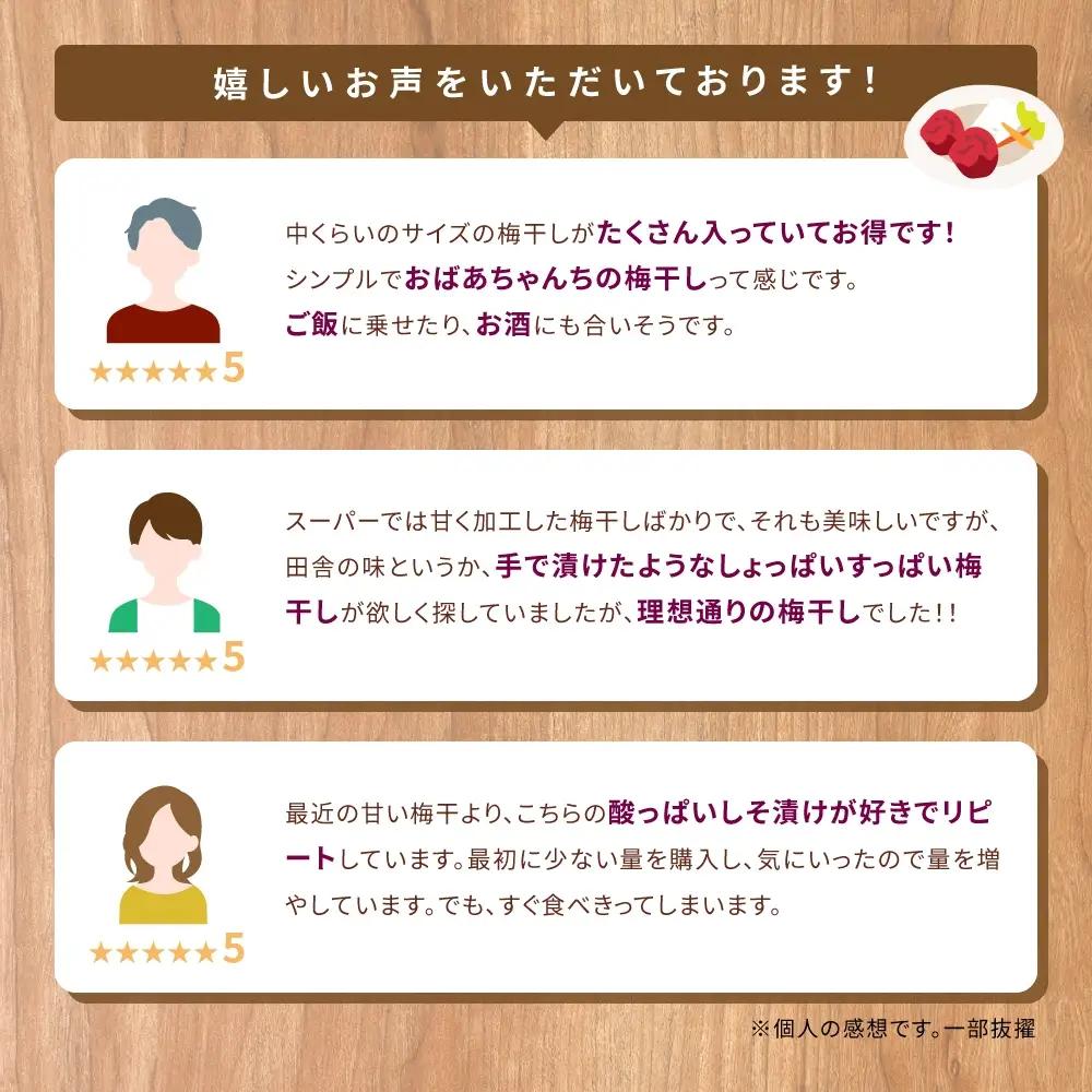 梅干し 紀州熊野のしそ漬け梅干し 800g【frsn0013A】
