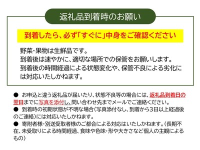 【3ヶ月定期便】くさぶえ農園『冬の野菜6～8品目セット』（2026年11月～2027年3月出荷／北海道・沖縄・離島は配送不可）高原 無農薬 産地直送 新鮮 旬彩 簡単レシピ 先行予約【 産直 高原野菜