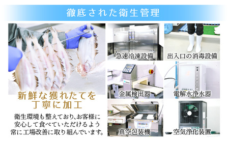  食べやすい魚！骨取り 鯖の一夜干し 約1kg（半身7切）網元漁師「福丸」厳選！ 【さかな サバ さば おかず グルメ 小分け 冷凍 個包装 惣菜 魚介類 海鮮 焼魚 バーベキュー】 [e15-a02