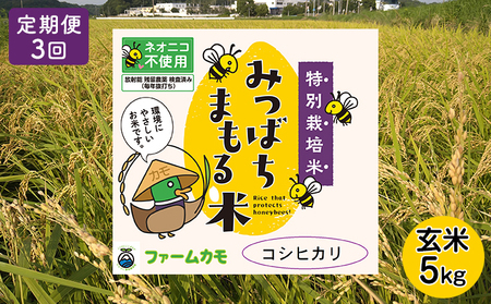 2025年10月上旬以降発送【定期便3回】雄踏ファームカモ産「特選みつばちまもる米」玄米5kg コシヒカリ（3ヶ月連続・合計15kg） お米 コメ ご飯 ライス 特別栽培米 検査米 1等米 静岡 浜松