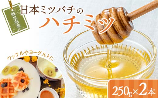 岐阜県産 日本ミツバチのハチミツ 250g 2本セット はちみつ ハチミツ 蜂蜜 日本ミツバチ 二ホンミツバチ 無添加 岐阜県 坂祝町 F6M-306