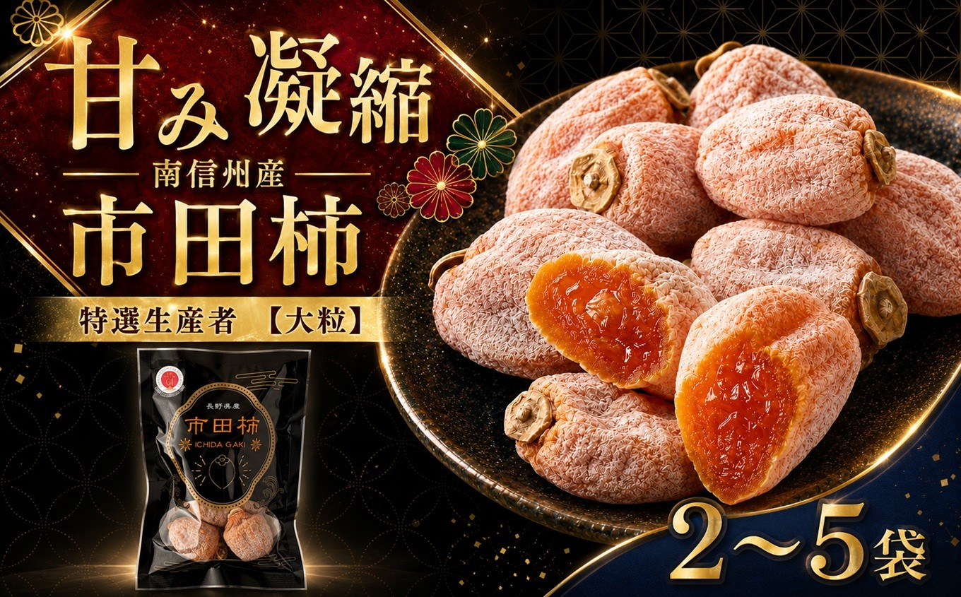 
                  【特選生産者】南信州産 市田柿 【 大粒 】 200g 【選べる】 2～5袋 | マルス信濃物産 ★12/15までのお申し込みで 年内発送 ★ 果物 くだもの フルーツ 柿 かき 市田柿 長野県 信州 南信州 飯田市
                