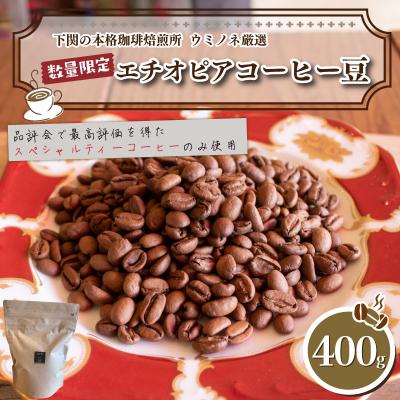 ふるさと納税 下関市 【豆】 訳あり コーヒー豆 400g 数量限定 エチオピア EW146-D