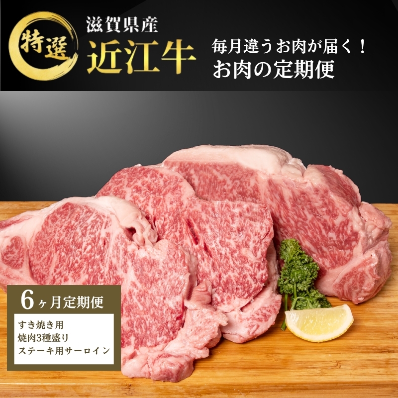 【先行予約受付中】毎月違うお肉が届く！ 近江牛 特選お肉の6か月定期便