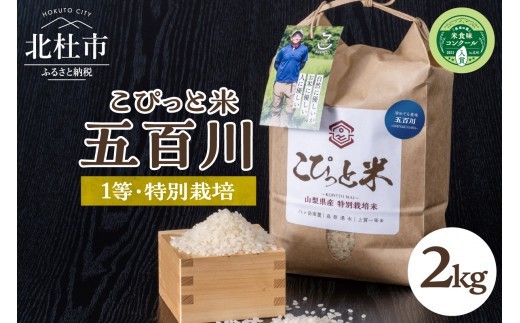 
                  【令和8年度新米】こぴっと米【五百川】2kg 1等特別栽培米100％　等級検査1等 早生品種 さっぱり系 香り高い つやつや 入賞 リピート お米 北杜市産
                