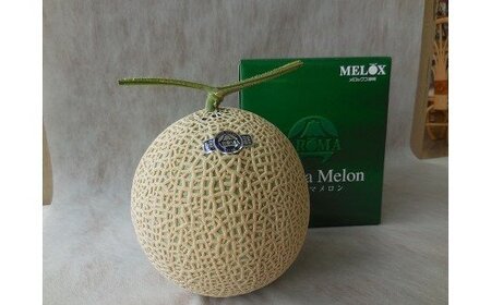 【通年出荷】最高級温室 アローマメロン山 級１玉