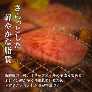 Y288 【和牛セレブ】鳥取和牛一頭分（一括配送）