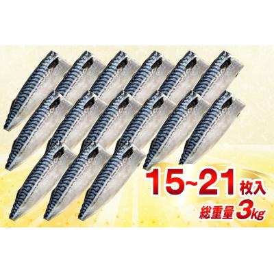 ふるさと納税 気仙沼市 訳あり 減塩 無添加 塩サバ フィレ Mサイズ 総重量 3kg (15-21枚入) 20565687 |  | 02