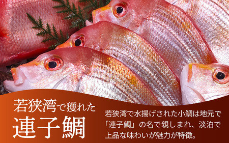 【数量限定】高浜町のブランドレモン「うちうらレモンで締めた 連子鯛押し寿司」2本 12貫入
