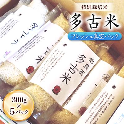 ふるさと納税 多古町 多古米フレッシュ真空パック