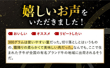 【12回定期便】長崎和牛 切り落とし 600g (300g×2)/回【有限会社長崎フードサービス】[DBL025]/ 長崎 小値賀 牛 牛肉 黒毛和牛 切落し 切り落し 定期便