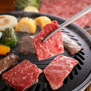 黒毛和牛 豪華満喫セット 計1.7kg やまぐち和牛燦(きらめき) ももスライス 肩ローススライス うで焼肉 希少部位ステーキ 下関市 山口 MJ