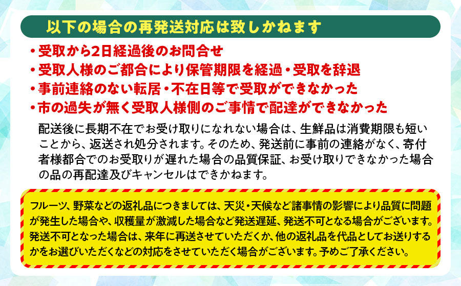 【令和8年産先行予約】JA庄内たがわの庄内産ぶどう ピオーネ 約1kg　K-830