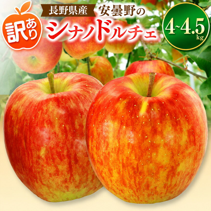 【ふるさと納税】【2026年先行予約】訳あり シナノドルチェ 4~4.5kg ｜ 東印平林農園 エコファーマー認定 リンゴ りんご 林檎 果物 フルーツ 果実 しなの ドルチェ 家庭用 わけあり 訳アリ 長野県 松川村
