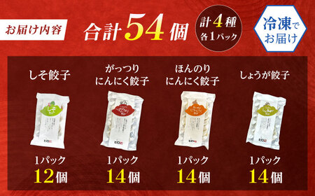 餃子屋ヒロの全種類食べ比べセット【餃子屋ヒロ】開成町 餃子 点心 惣菜 冷凍[BDAS007]