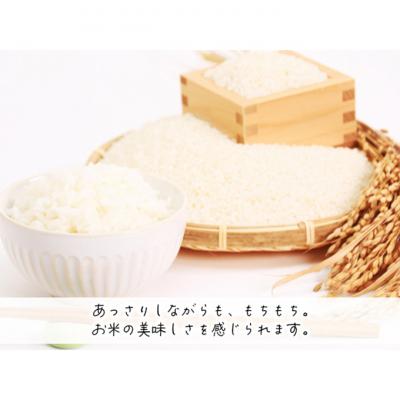 ふるさと納税 鰺ヶ沢町 令和7年産 はれわたり 無洗米 10kg (5kg×2袋) [53841710] |  | 01