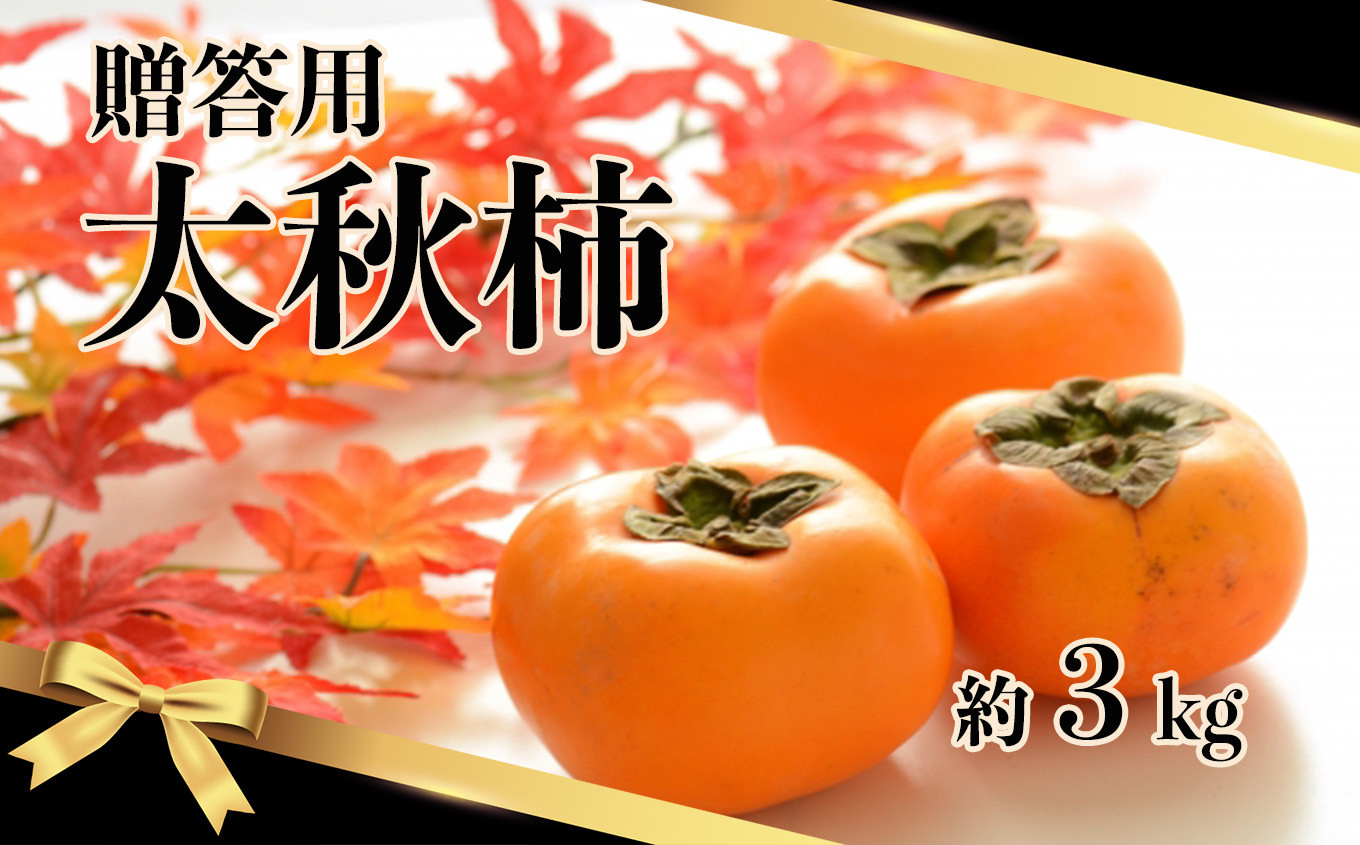 
【贈答用】 太秋柿 約3kg 玉名市産
