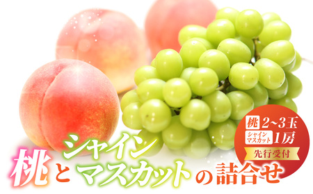 《先行受付》桃とシャインマスカットの詰合せ【2026年9月頃より順次発送予定】 060-017