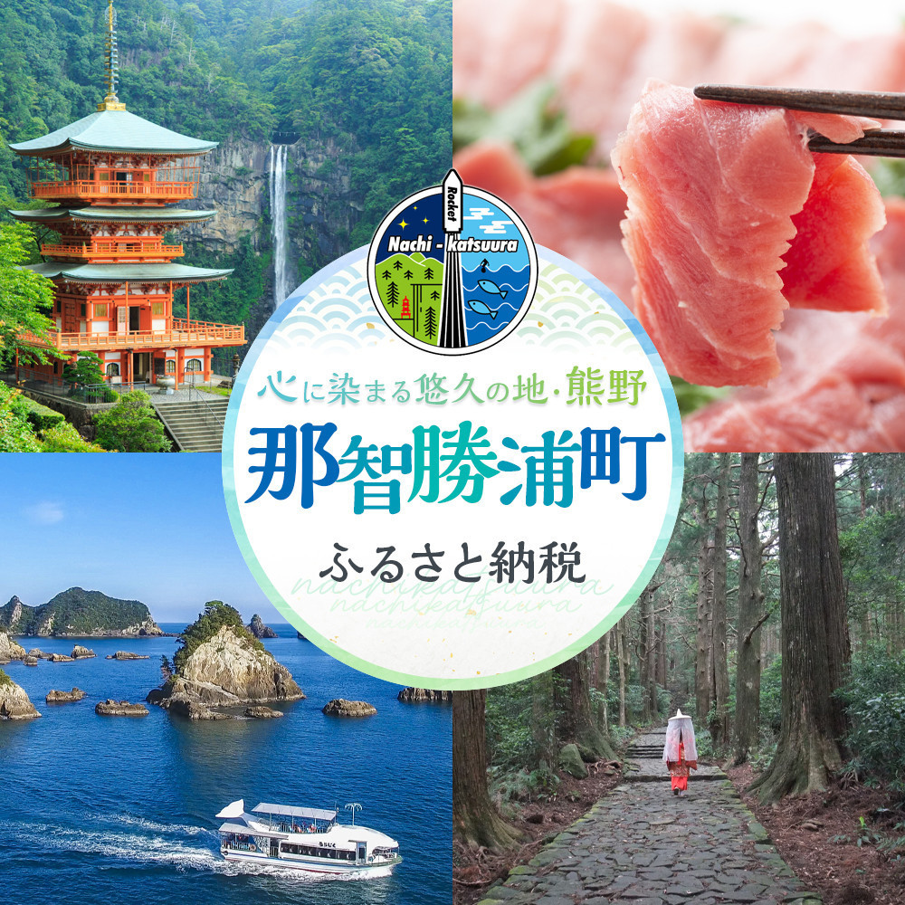 家庭用 冷凍梅 約1kg 紀州 南高梅 青梅 黄梅 完熟梅 訳あり［IKE331］