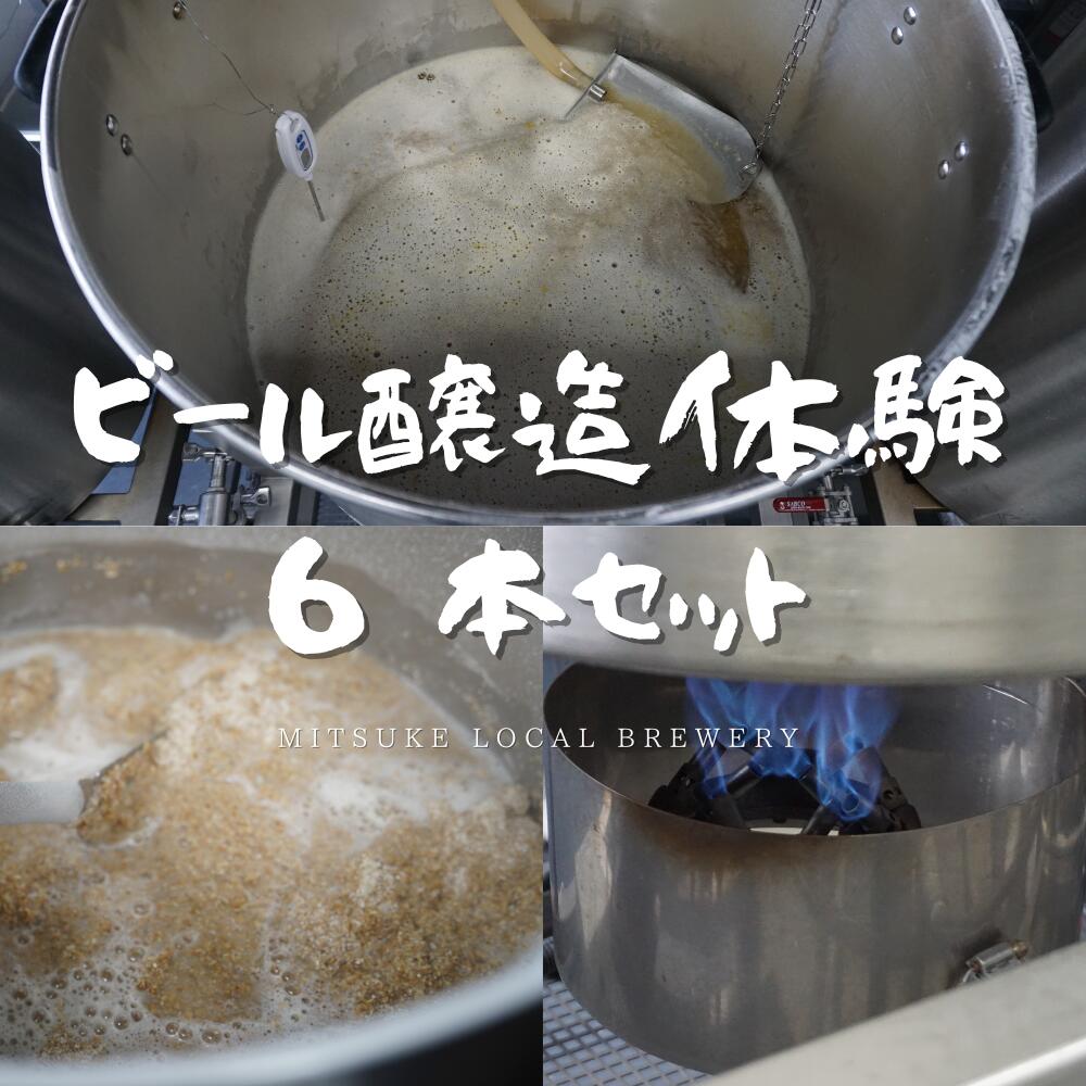 【ふるさと納税】ビール醸造体験