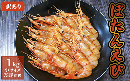 訳あり ぼたんえび 1kg 小サイズ 75尾前後 | ボタンエビ ぼたんえび えび エビ 刺身 魚介 冷凍 北海道 ふるさと納税 羽幌町 羽幌【0512403】