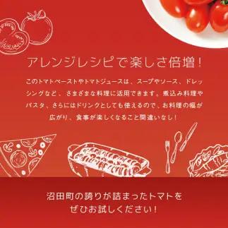【定期便】契約農家が露地栽培した完熟トマトケチャップ（320g瓶×2本×6ヶ月）保存料 無添加 国産 北海道産 n-0222	