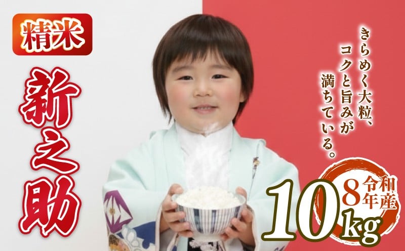 
                  【先行予約】令和8年産 新之助 10kg しんのすけ 5kg 2袋 白米 米 国産 環境こだわり おこめ お米 ご飯 ごはん オニギリ お弁当 kome 送料無料 数量限定 農家直送 産地直送 国産 川瀬農園 四代目 悠助 新潟 新発田 kwsSS002_202609
                