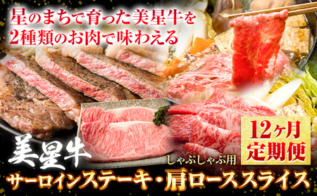 【12ヶ月定期便】美星牛 定期便 ハレノヒ良品 牛 肉