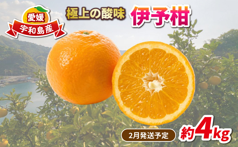 
                  愛媛みかん 伊予柑 4kg 家庭用みかん 協徳ガーデン 先行予約 予約受付 いよかん 蜜柑 mikan 愛媛みかん 愛媛蜜柑 愛媛ミカン 柑橘 果物 くだもの 愛媛県産 ミカン 宇和島みかん フルーツ 数量限定 産地直送 農家直送 数量限定 国産 愛媛 宇和島 B010-178003
                